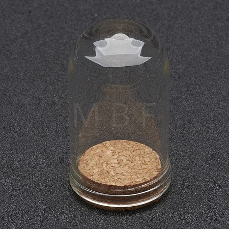 Glass Dome Cloche Cover X1-AJEW-P043-M-1