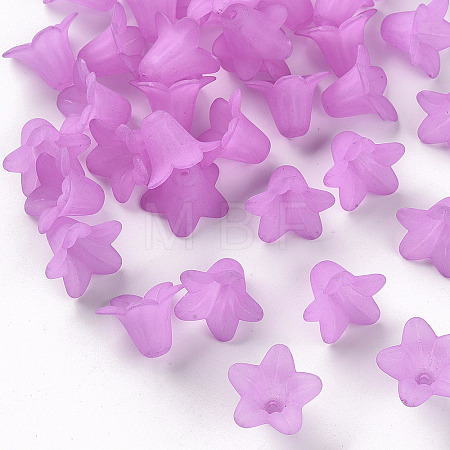 Transparent Acrylic Beads PLF018-04-1