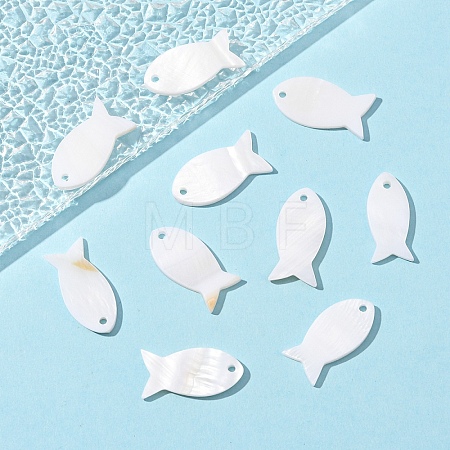 10Pcs Natural Shell Pendants SHEL-YW0001-12-1