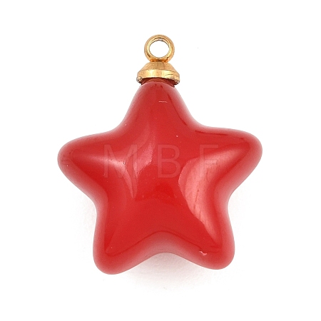 304 Stainless Steel Resin Pendants STAS-K322-10D-02-1