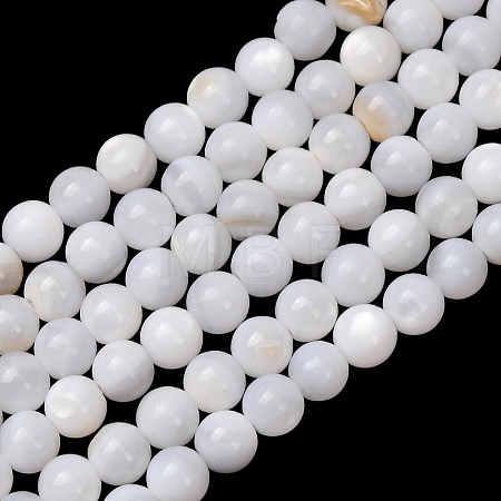 Natural Freshwater Shell Beads Strands SH-CBA2978-07D-03-1