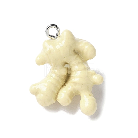 Resin Iron Pendants RESI-D280-04-1