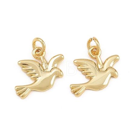 Brass Pendants KK-L275-58G-02-1