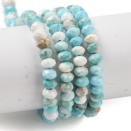 Natural Howlite Beads Strands G-H025-03D-09-1