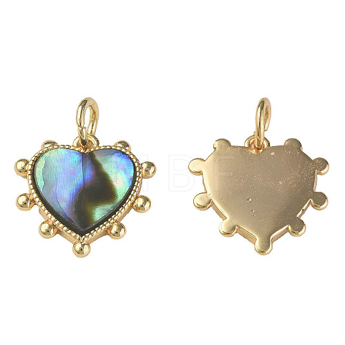 Synthetic Abalone Shell/Paua Shell Charms X-KK-N233-216-1