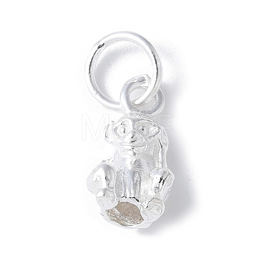 925 Sterling Silver 3D Chinese Zodiac Charms STER-P066-01S-09-1