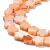 Natural Freshwater Shell Beads Strands SHEL-H002-03C-4