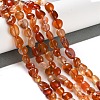 Natural Carnelian Beads Strands G-P497-01C-35-2