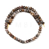 Natural Gobi Agate Beads Strands G-F668-25-B-5