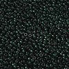 MIYUKI Round Rocailles Beads SEED-X0055-RR0156-2