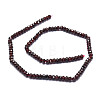 Natural Garnet Beads Strands G-E569-H01-2