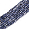 Natural Sapphire Beads Strands X-G-S361-2mm-009-1