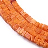 Handmade Lampwork Beads Strands LAMP-Q037-02A-10-3