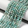 Natural Amazonite Beads Strands G-G140-A18-03-A-2