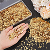 100G PET Paillette/Sequins Pendants KY-CY0001-24A-3