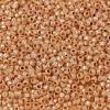 MIYUKI Round Rocailles Beads SEED-JP0009-RR0580-3