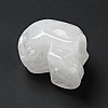 Halloween Natural Quartz Crystal Display Decorations DJEW-K015-33-5