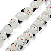 Handmade Lampwork Beads Strands LAMP-T017-19-5