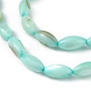 Natural Freshwater Shell Dyed Beads Strands SHEL-M018-13-02-3