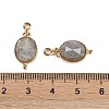 Natural Labradorite Faceted Pendans KK-L218-003G-03-3