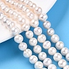 Natural Cultured Freshwater Pearl Beads Strands PEAR-N013-06-A-1