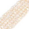 Natural Cultured Freshwater Pearl Beads Strands PEAR-P064-19D-08A-2