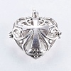 Hollow Alloy Cage Pendants TIBEP-L003-18AS-1