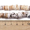 Natural Shell Beads Strands SH-CBA2978-03-4