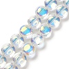 Transparent Electroplate Glass Bead Strands EGLA-P049-01A-AB02-2