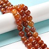 Natural Fire Crackle Agate Beads Strands G-G212-10mm-10-3