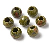 Natural Unakite Gemstone European Beads G-N342-03K-1