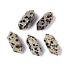 Natural Dalmatian Jasper Pendants G-Q601-27B-1