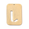 Ion Plating(IP) 304 Stainless Steel Pendants STAS-K216-49J-G-3