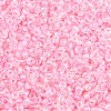 12/0 Glass Seed Beads SDB210-1