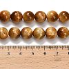 Natural Tiger Eye Beads Strands G-B133-A02-10mm-03-5