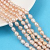 Natural Cultured Freshwater Pearl Beads Strands PEAR-P064-20J-03F-1