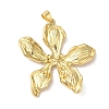 Rack Plating Brass & Cubic Zirconia Pendants KK-L216-068G-1