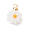 4Pcs 4 Styles Natural Freshwater Shell Enamel Flower Charms with Brass Bails PALLOY-JF04895-3