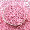 Glass Seed Beads SEED-K009-02B-15-2