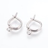 Brass Hoop Earring Findings with Latch Back Closure X-ZIRC-F088-063P-1