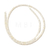 Natural White Shell Beads Strands SHEL-M021-03B-2