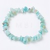 Natural Amazonite Stretch Bracelets BJEW-JB03681-06-7