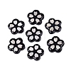 Acrylic & Natural Freshwater Shell Cabochons OACR-N164-05-1