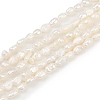 Natural Cultured Freshwater Pearl Beads Strands PEAR-P064-20E-01A-2