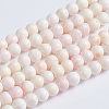 Natural Pink Shell Beads Strands SSHEL-L016-18A-1