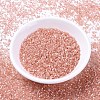 MIYUKI Delica Beads SEED-X0054-DB1863-2