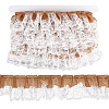 Polyester Lice Trim Ribbons SRIB-WH20020-054C-1