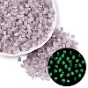 FGB Grade A Frosted Glass Seed Beads SEED-Q040-04A-04-1