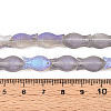 Frosted Glass Beads Strands GLAA-T023-40C-04-4