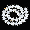 Natural Freshwater Shell Beads Strands LS-SHEL-S278-01D-01-2